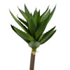 Photograph of 28" Green Succulent Stem 2/Pk