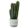 Photograph of 17" Green Cactus in Concrete Pot