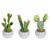 Photograph of 10" Green Potted Cactus Set/3 Asst