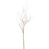 Photograph of 47" Twig Branch