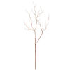 Photograph of 63" Twig Branch