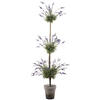 Photograph of 6' Triple Lavender Topairy/ Cement Pot