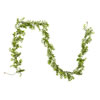Photograph of 6' Green Boxwood Modern Garland