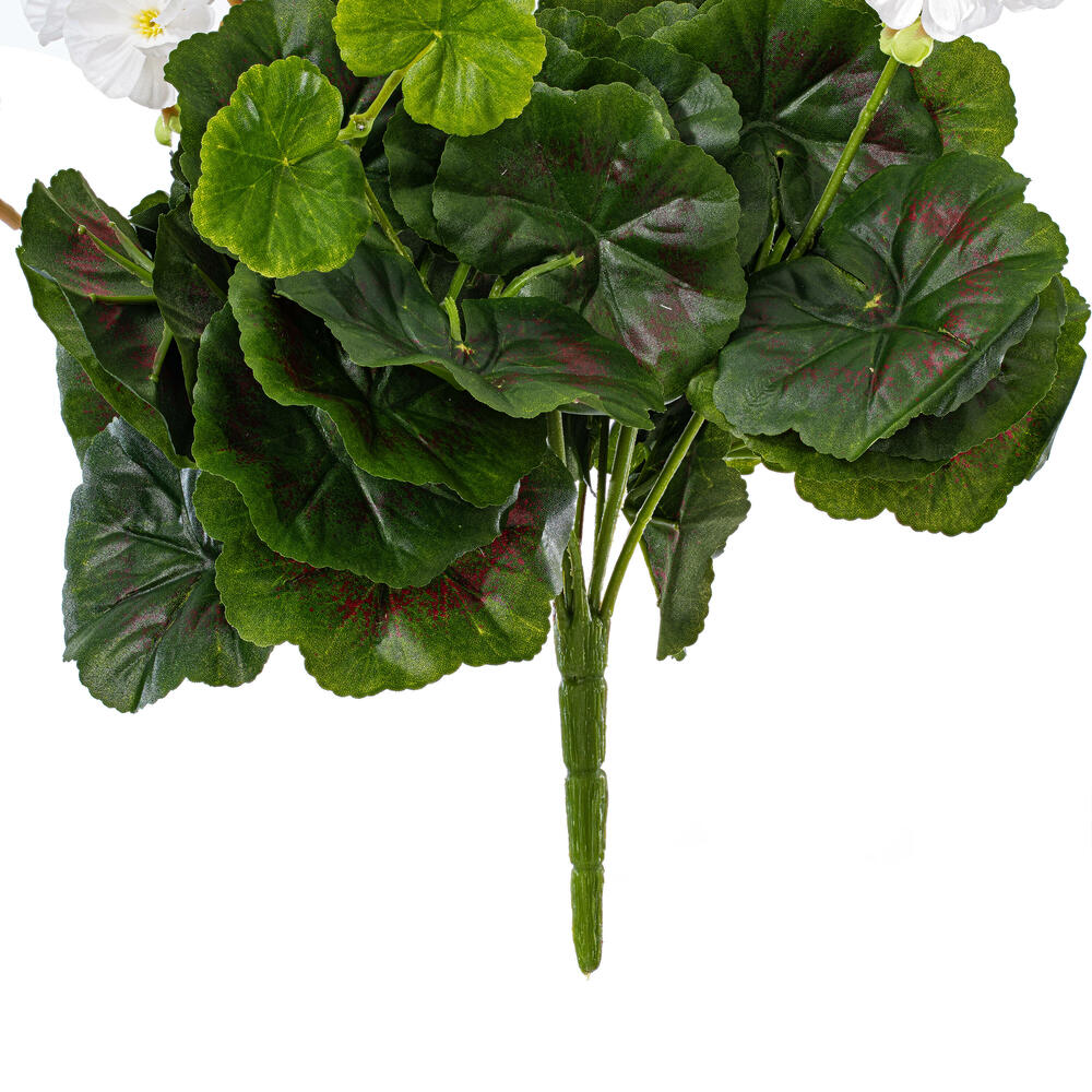 FL170504 - Geranium Everyday Floral Bush | Vickerman