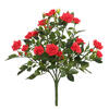 Photograph of 15" Red Mini Diamond Rose Bush