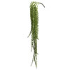 Photograph of 39" Green Senecio Bush W/1132 Bean