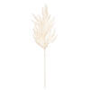Photograph of 28" Ivory Pampas Grass Spray 3/Bag