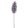 Photograph of 33" Grand Gltr Snow Pinecone Stem