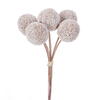 Photograph of 7" White Billy Buttons Stem 6/pk
