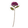 Photograph of 32.5" x 9" Burgundy Hydrangea Stem 3/Bag