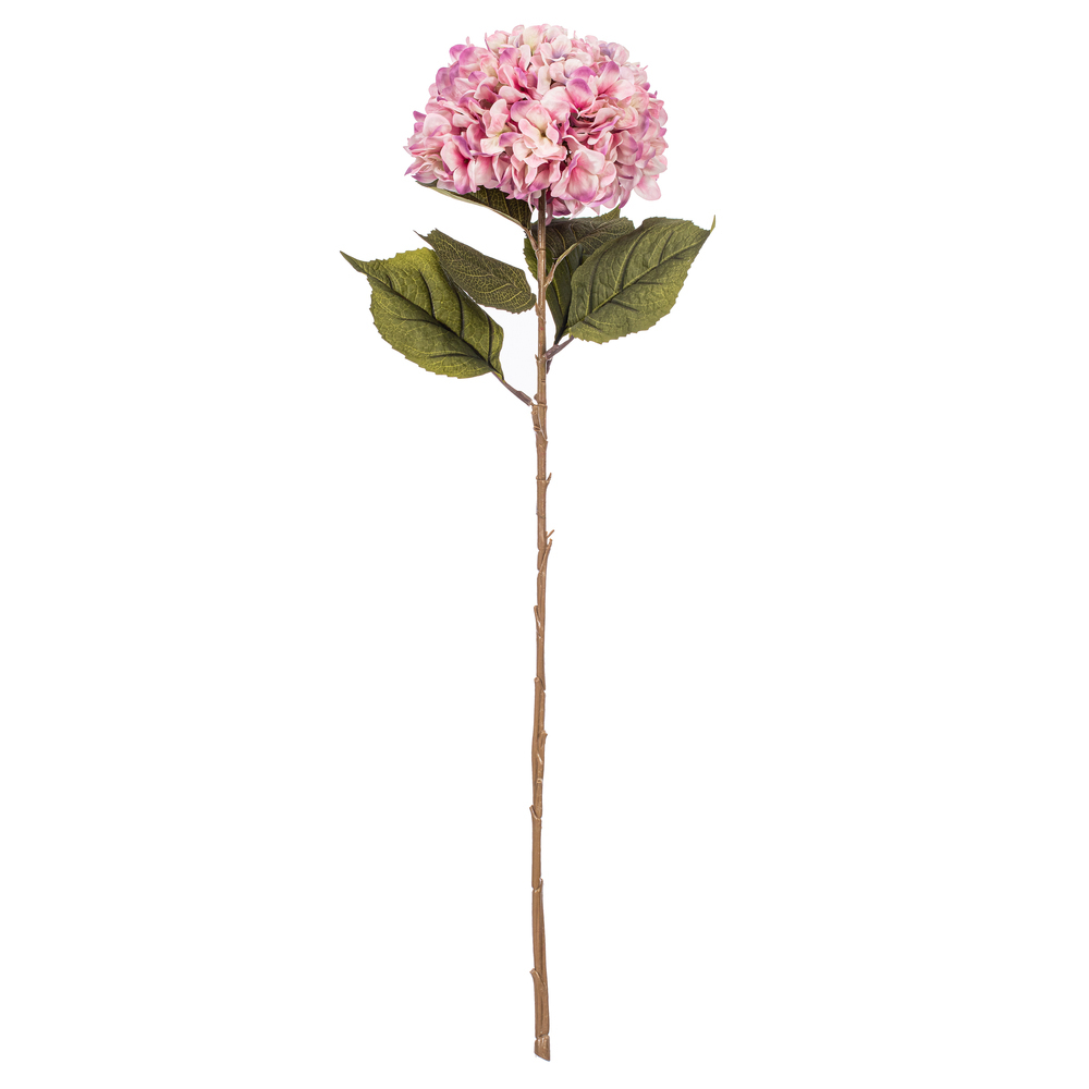 FR250366 - FR2503 Floral Stem | Vickerman