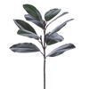 Photograph of 26" Green Magnolia Leaf Spray 3/Bag