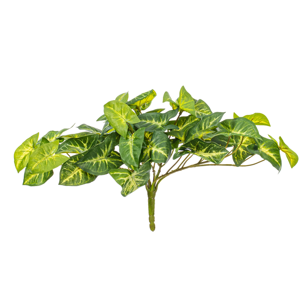 FTL250311UV - FTL2503 Everyday Bush | Vickerman