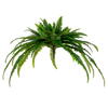 Photograph of 39" Green Boston Fern UV