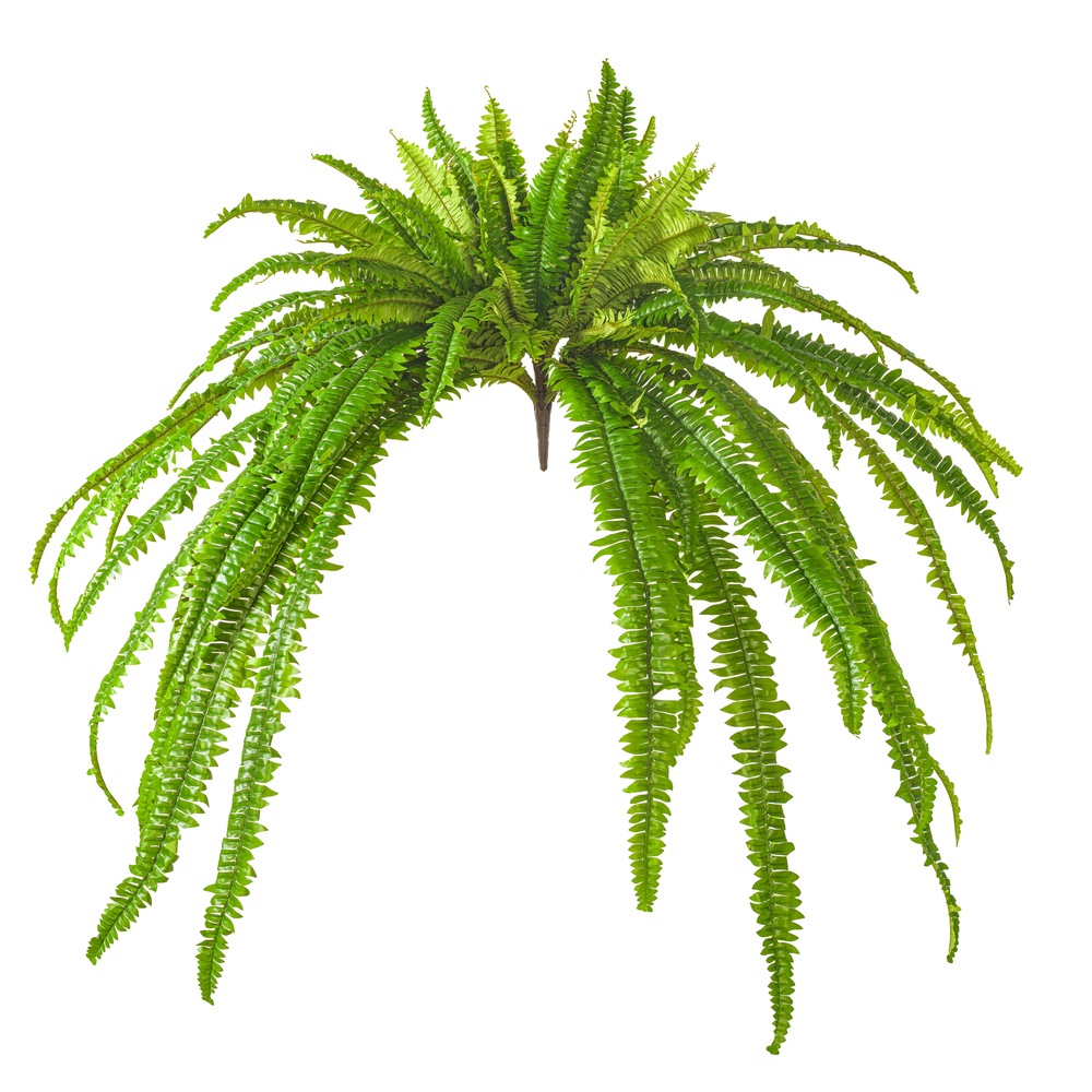 FTL251339UV - FTL2513 Everyday Greenery | Vickerman
