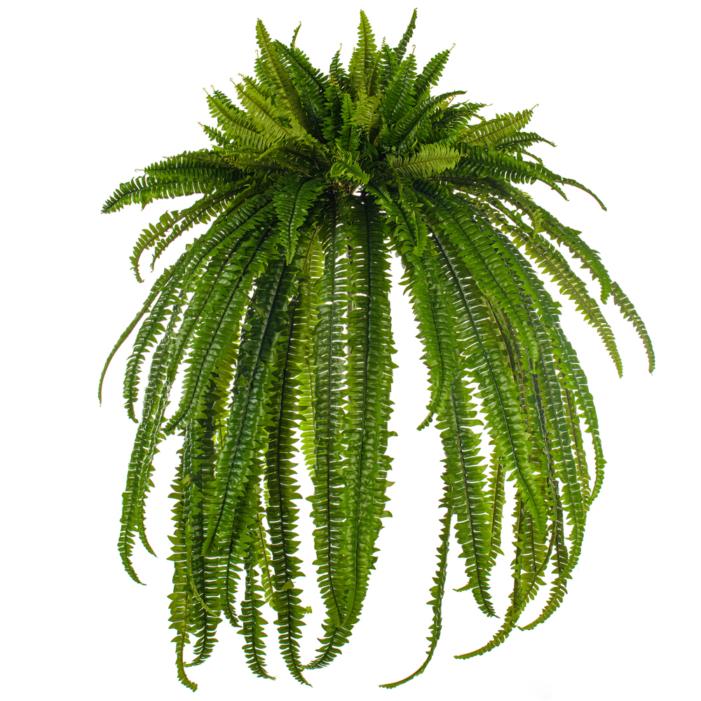 FTL251339UV - FTL2513 Everyday Greenery | Vickerman