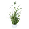 Photograph of 32" Green Potted Bamboo Grass