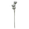 Photograph of 24" Mixed Green Aloe Spray Asst 3/pk