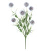 Photograph of 12" Gray Lavender Pom Pom Bush 6/pk