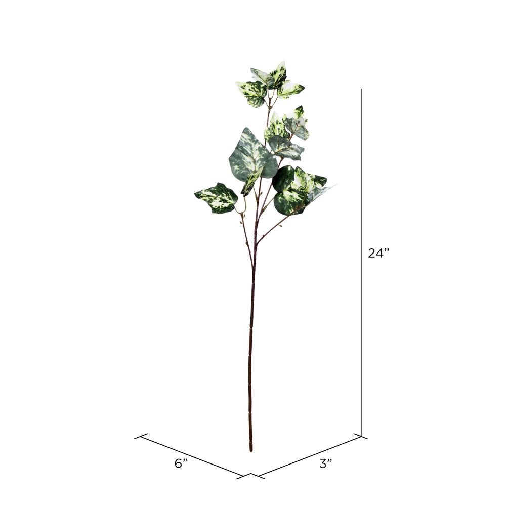 FV196224 - Ivy Everyday Greenery | Vickerman