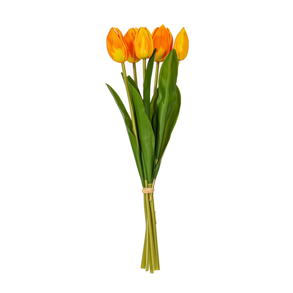 FXT248726 - Tulip Everyday Floral | Vickerman