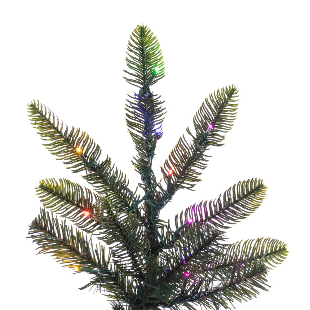 G160281LED - Alberta Spruce Christmas Tree | Vickerman