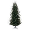 Photograph of 7.5' x 48" Slim Welch Fraser Fir 2630T