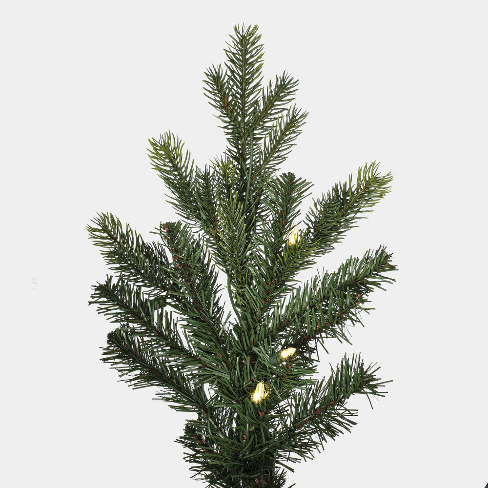 G183281LED - Welch Frasier Fir Christmas Tree | Vickerman