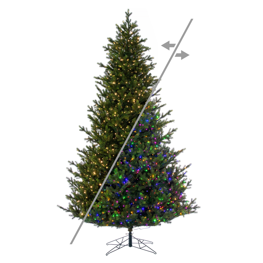 G183281LED - Welch Frasier Fir Christmas Tree | Vickerman