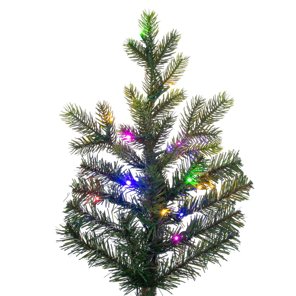 G183281LED - Welch Frasier Fir Christmas Tree | Vickerman