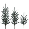 Photograph of 24-30-36" Blue Spruce Tops 3Pc Set