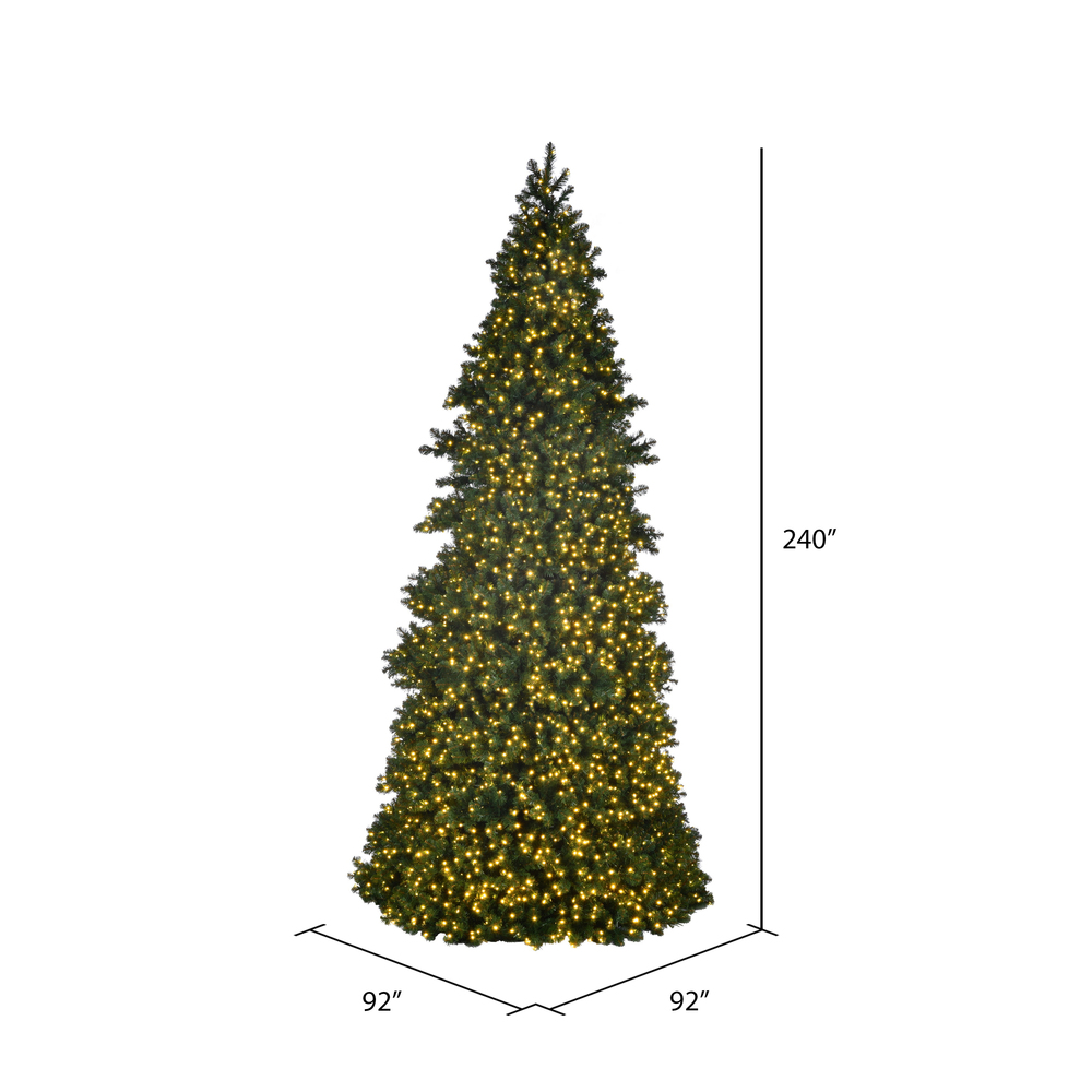 G194120WW - Slim Grand Teton Christmas Tree | Vickerman