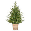 Photograph of 3'x30" Gibson Slim Potted Pine LED 100WW