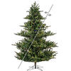 Photograph of 7.5' x 67" Sherwood Fir Tree LED 1500CC 