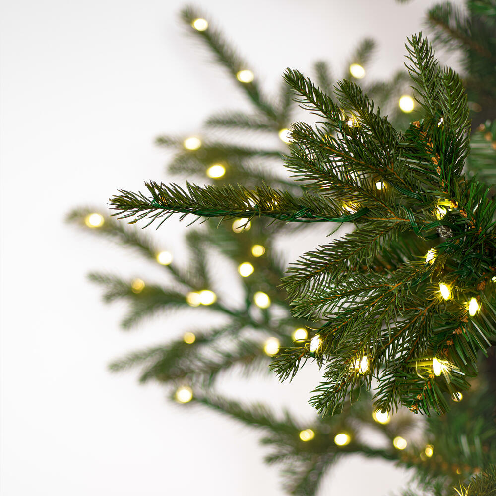 G210176LED - Yukon Display Christmas Tree | Vickerman