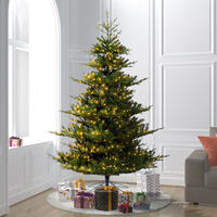 Sale Christmas Tree