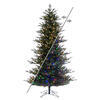Photograph of 7.5' x 55" Colorado Fir 3mm 850CC