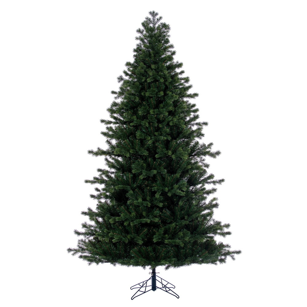 G264383LEDCC - Black Hills Spruce Christmas Tree