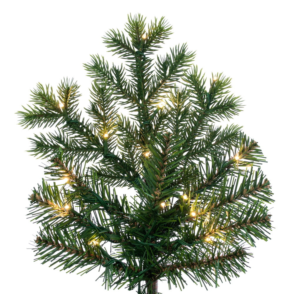 G264383LEDCC - Black Hills Spruce Christmas Tree