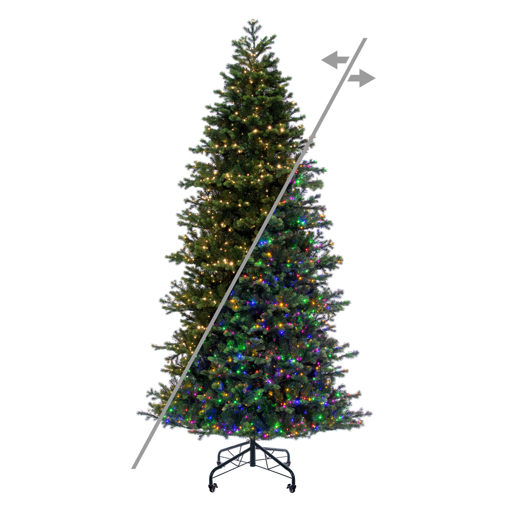 G264383LEDCC - Black Hills Spruce Christmas Tree