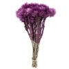 Photograph of 13-14" Purple Orchid Ever Flowers 1.75oz