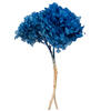 Photograph of 15" Pastel Blue Hydrangea Stem