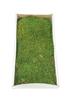 Photograph of Green Moss Sheet - 8 oz./Tray