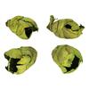 Photograph of 2-3" Basil Cacho Pods 60/Cs