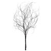 Photograph of 18-20" Natural Brown Skeleton Branch 3Pk