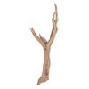 Photograph of 24" Ghostwood Manzanita SB