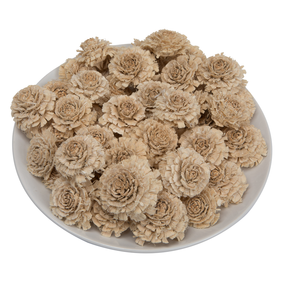 rose♡ s-l1200.jpg