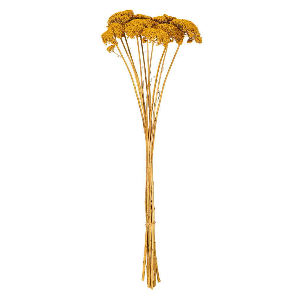 HA5ACH725 - HA5ACH Natural Flower | Vickerman