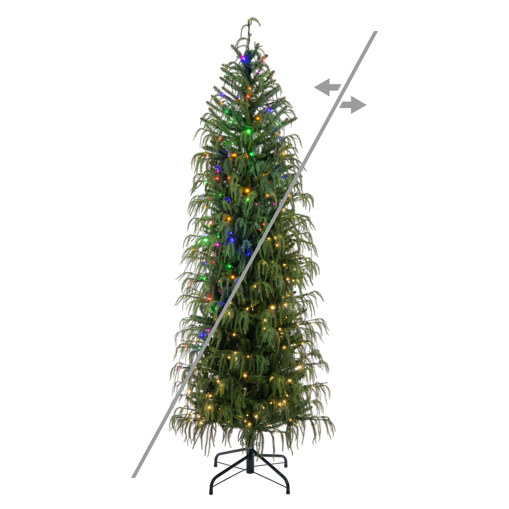 JK255078LEDCC - Norfolk Pine Christmas Tree | Vickerman