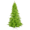 Photograph of 6.5'x46" Lime Fir Tree 1216T